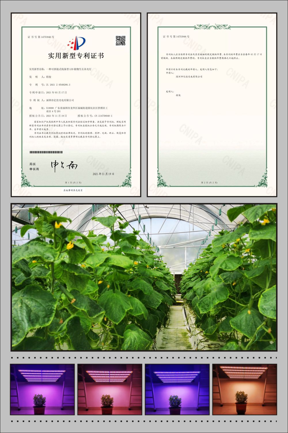 bevictor伟德植物农场灯实用新型专利