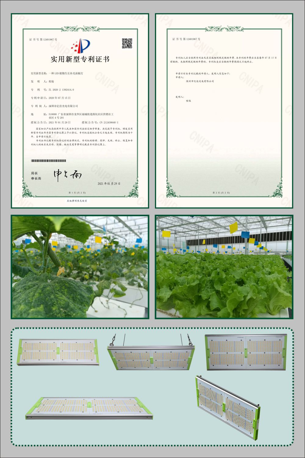 bevictor伟德植物生长面板灯实用新型专利